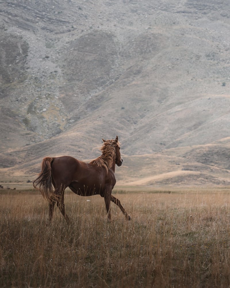 Breathtaking Landscapes