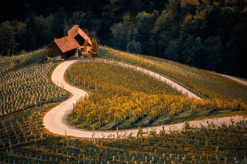 Mountain Landscape